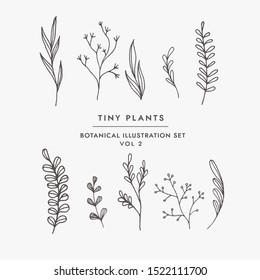 Tiny Plant Clip Art Elegant Hand Drawn Set - For wedding invitations, posters, blog posts, logos ,etc.