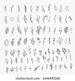 Tiny Plant Clip Art Elegant Hand Drawn Set - For wedding invitations, posters, blog posts, logos ,etc.