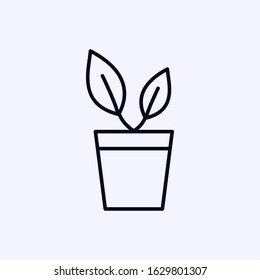 Tiny plant in pot icon isolated