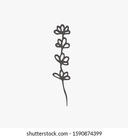 Tiny Plants, flowers, Hand drawn vector illustration for logo, invitations, graphic design