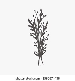 Tiny Plants, flowers, Hand drawn vector illustration for logo, invitations, graphic design