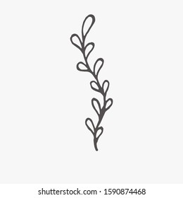 Tiny Plants, flowers, Hand drawn vector illustration for logo, invitations, graphic design