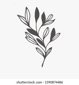 Tiny Plants, flowers, Hand drawn vector illustration for logo, invitations, graphic design