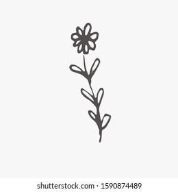 Tiny Plants, flowers, Hand drawn vector illustration for logo, invitations, graphic design