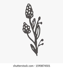 Tiny Plants, flowers, Hand drawn vector illustration for logo, invitations, graphic design