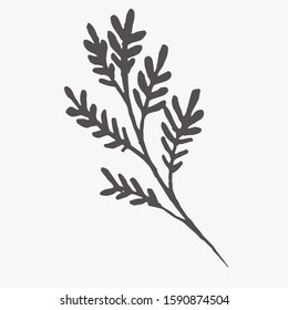 Tiny Plants, flowers, Hand drawn vector illustration for logo, invitations, graphic design