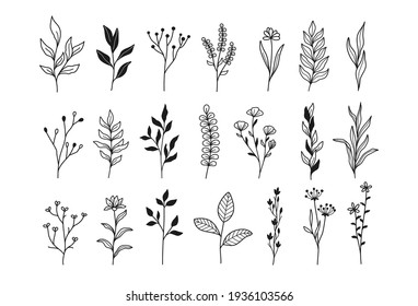 Tiny plantsand flowers, set of cute linear hand drawn botanical illustrations