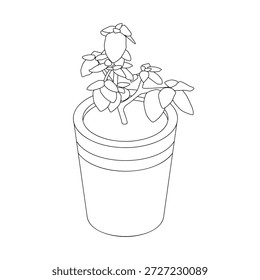Planta em vaso minúsculo - ilustração vetorial preto e branco desenhada à mão.