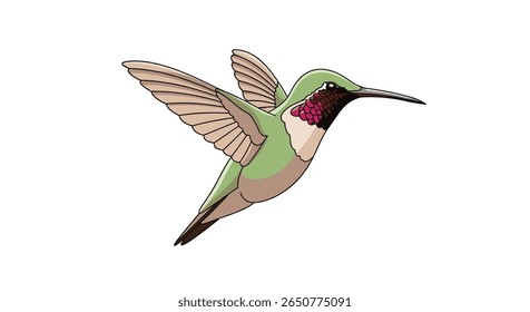 Beija-flor minúsculo da garganta rubi em voo com asas abertas