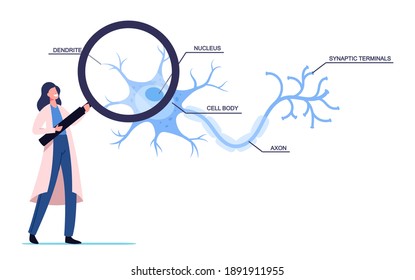 Tiny Scientist Female Character Wearing White Medical Robe Learning Human Neurons Scheme with Dendrite, Cell Body, Axon and Nucleus with Synaptic Terminals in Laboratory. Cartoon Vector Illustration