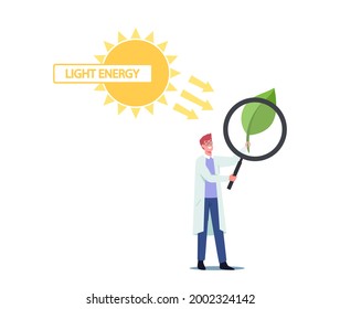 Tiny Scientist Male Character Looking on Green Leaf through Huge Magnifying Glass. Sun Shining on Plant. Sunlight Changing into Chemical Energy during Photosynthesis. Cartoon Vector Illustration