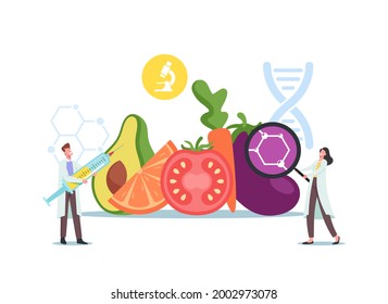 Tiny Scientists Male And Female Characters At Huge Genetically Modified Food And Agriculture Crop Learning GMO Food In Laboratory, Chemistry Or Biology Science. Cartoon People Vector Illustration