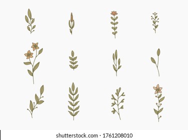 tiny simple botanical illustrations, line artwork, minimal design elements. elegant and delicate plant doodles for branding, wedding invitation, graphic design. spring floral clip art , feminine art