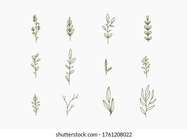 tiny simple botanical illustrations, line artwork, minimal design elements. elegant and delicate plant doodles for branding, wedding invitation, graphic design. spring floral clip art , feminine art