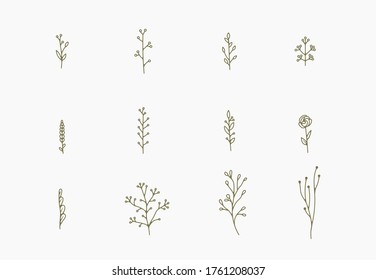 tiny simple botanical illustrations, line artwork, minimal design elements. elegant and delicate plant doodles for branding, wedding invitation, graphic design. spring floral clip art , feminine art