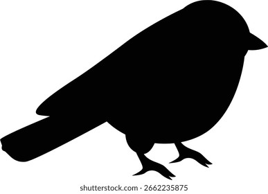 Tiny Sparrow Perched on Branch Garden Bird Wildlife Nature Illustration
