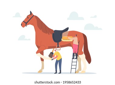 Tiny Stableman and Woman Characters Care of Huge Purebred Horse Cleaning Skin and Hooves with Brush Prepare Stallion for Equestrian Sports Competition or Contest. Cartoon Vector Illustration