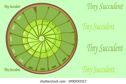 Tiny Succulent Plant Small House flower Clay Pot Evergreen.Vector.Illustration