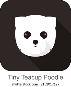 Tiny Teacup Poodle Dog Face Flat Icon