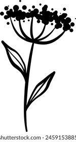 Winzige wilde Karottenpflanze Vektorgrafik Doodle, Blumenillustration, Line Art Dekoration, isoliert