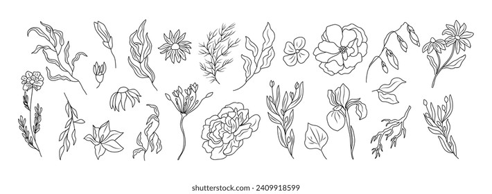 Pequeñas flores silvestres y plantas alinean el vector de arte.