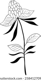 tiny wild flowers and plants line art botanical illustrations. Trendy greenery hand draw lines black ink sketches. vector illustration