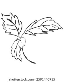 tiny wild flowers and plants line art botanical illustrations. Trendy greenery hand draw lines black ink sketches. vector illustration