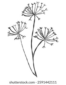 tiny wild flowers and plants line art botanical illustrations. Trendy greenery hand draw lines black ink sketches. vector illustration