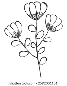 tiny wild flowers and plants line art botanical illustrations. Trendy greenery hand draw lines black ink sketches. vector illustration