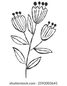 tiny wild flowers and plants line art botanical illustrations. Trendy greenery hand draw lines black ink sketches. vector illustration