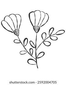 tiny wild flowers and plants line art botanical illustrations. Trendy greenery hand draw lines black ink sketches. vector illustration