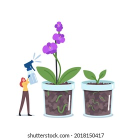 Tiny Woman Botanist Watering or Spraying Huge Orchid Phalaenopsis Home Plant in Flowerpot. Gardening Hobby, Female Character Care of Domestic Flower in Pot, Exotic Blossom. Cartoon Vector Illustration