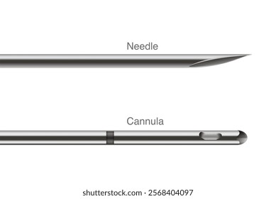 Tip of a Stainless Needle and Cannula tube which difference, Part of medical equipment. Aesthetic and doctor used to injection, piercing skin, cut tissue and treatment.