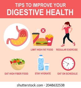 Tips To Improve Your Digestive Health Infographic With Useful Advices Vector Illustration.