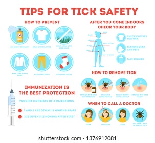 Tips For Tick Safety Infographic. How To Protect Skin From Insect And How To Remove Mite. Brown Parasite, Risk Of Disease. Immunization From The Bug. Isolated Vector Illustration In Cartoon Style