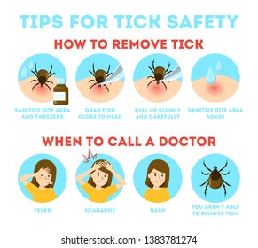 Tips for tick safety infographic. How to remove mite insect. Brown parasite, risk of encephalitis disease. Symptoms for doctor calling. Isolated vector illustration in cartoon style