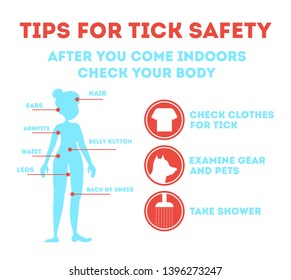 Tips For Tick Safety Infographic. How To Check And Protect Skin From Insect Mite. Risk Of Disease. Immunization From The Bug. Isolated Vector Illustration In Cartoon Style