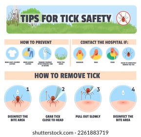 Tips for tick safety vector infographic illustration. Preventive method, first aid to remove parasite insect, symptoms to contact hospital