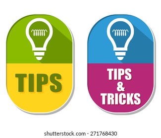 tips and tricks with bulb symbols, two elliptic flat design labels with icons, business support concept signs, vector
