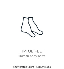 Tiptoe feet icon. Thin linear tiptoe feet outline icon isolated on white background from human body parts collection. Line vector sign, symbol for web and mobile
