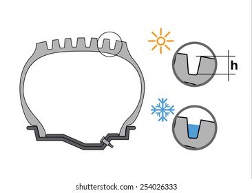 Tire Section And Check Tire Tread Depth