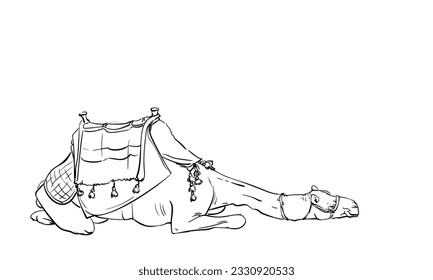 Tired camel with saddle laying and resting line sketch, Isolated desert animal hand drawn illustration