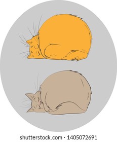 
tired fat cats sleep cute