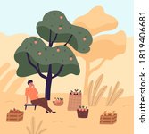 Tired man sitting on bench eating apple relaxing after harvest picking vector flat illustration. Male agricultural worker resting under tree at garden. Guy at autumn seasonal agriculture work