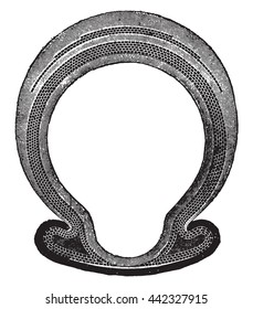 Tires for cars, vintage engraved illustration. Industrial encyclopedia E.-O. Lami - 1875.
