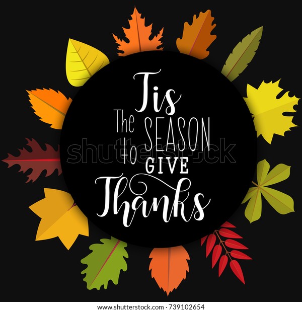 Tis Season Give Thanks Card Poster Stock Vector (Royalty Free) 739102654 |  Shutterstock