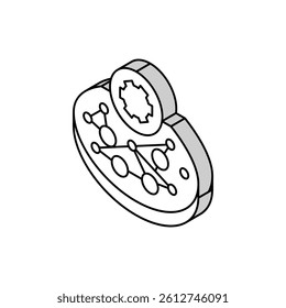 tissue engineering biomedical isometric icon vector. tissue engineering biomedical sign. isolated symbol illustration