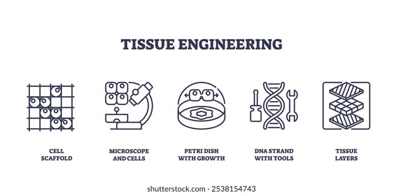 Tissue engineering involves cell scaffolds, microscopes, and DNA strands to innovate medical solutions. Outline icons set.