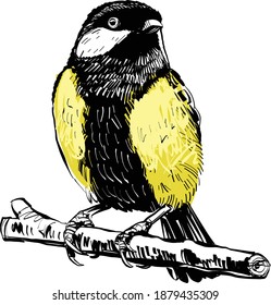 the tit bird on a branch