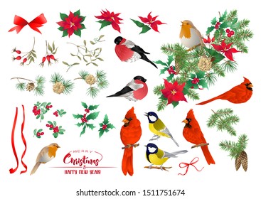 Tit bird, Robin bird, Cardinal bird, Bullfinch. Christmas wreath of spruce, pine, poinsettia, dog rose, fir. Set of elements for design Colored vector illustration. Isolated on white background. 	